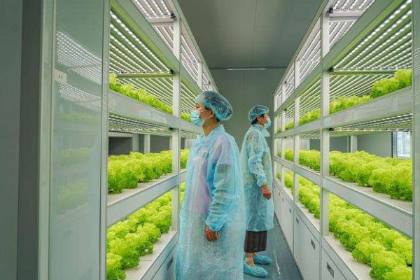 植物工廠環(huán)境控制系統(tǒng)，凈化處理一般采用初中高效過濾器過濾